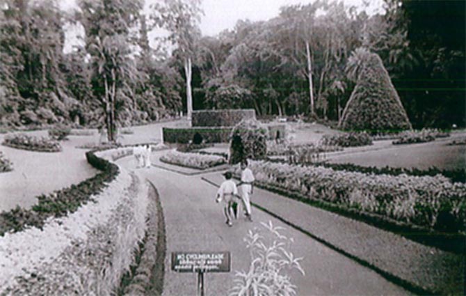 Kandy, the botanical garden